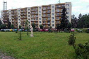 knl_girsikov-park-mladych_okruzit-stromy-a-vysypat-korou-img_20160602_170927.jpg